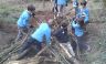 06-2011 - Den Building
